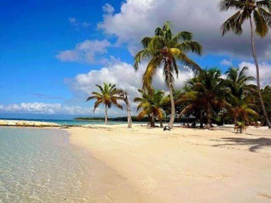La Playa - L'Appartement Cozy - 2 A 5 Personnes Sainte-Anne  Eksteriør bilde