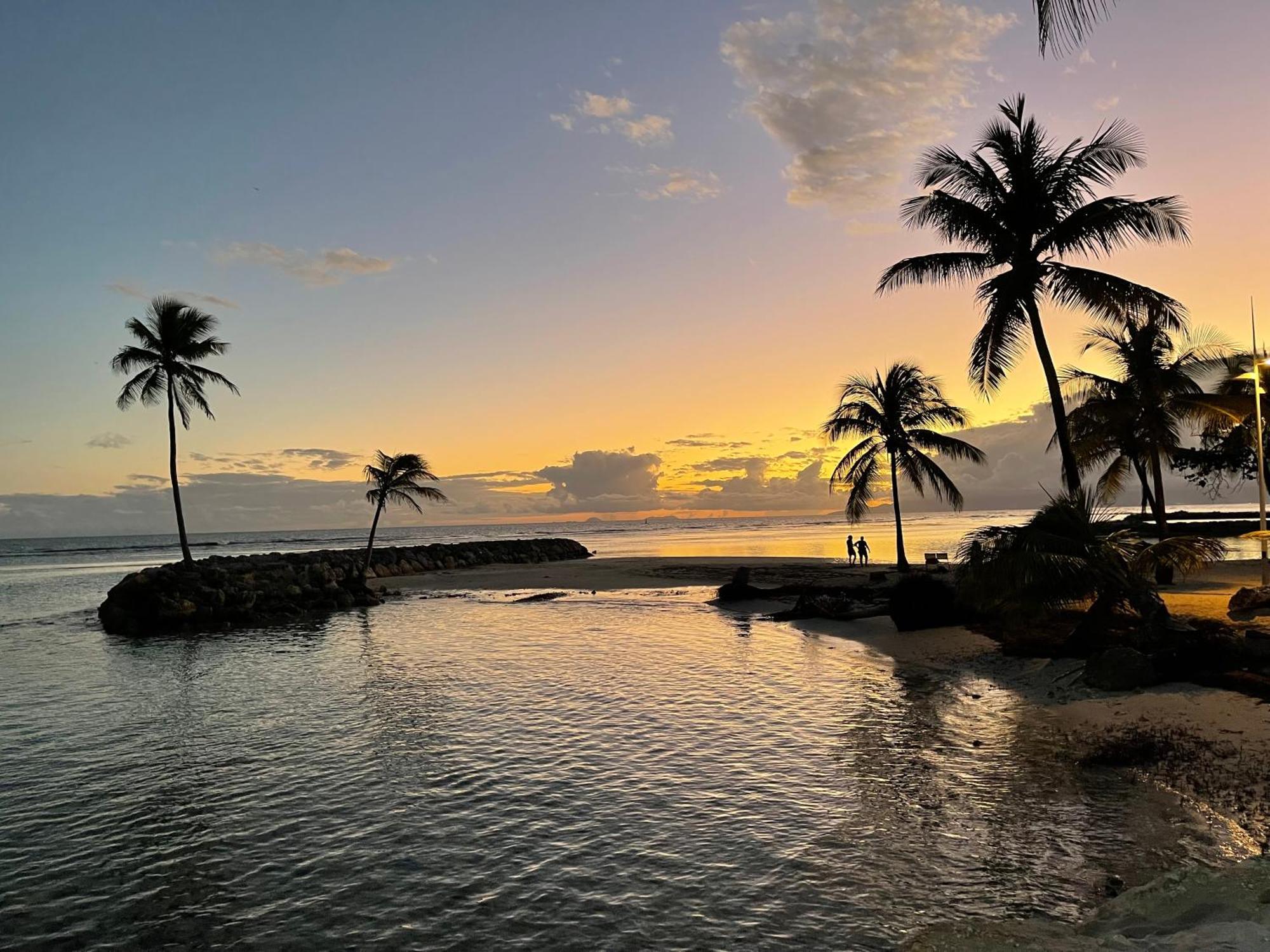La Playa - L'Appartement Cozy - 2 A 5 Personnes Sainte-Anne  Eksteriør bilde